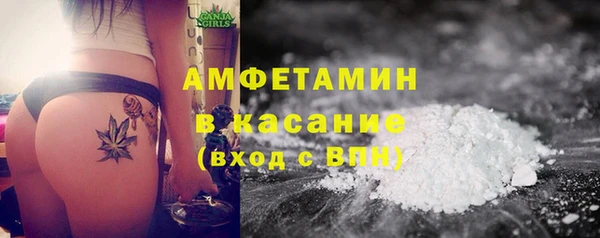 PSILOCYBIN Алзамай