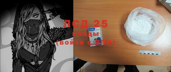 PSILOCYBIN Алзамай
