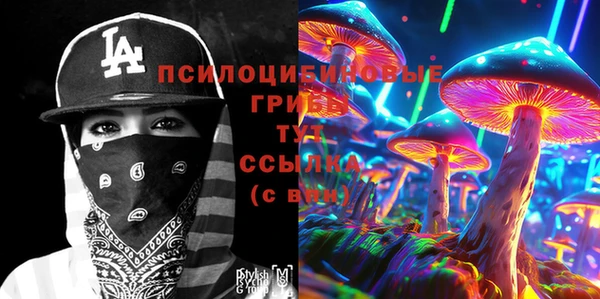 прущие крисы Абаза