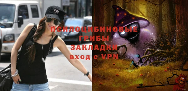 PSILOCYBIN Алзамай