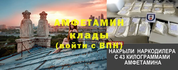 PSILOCYBIN Алзамай