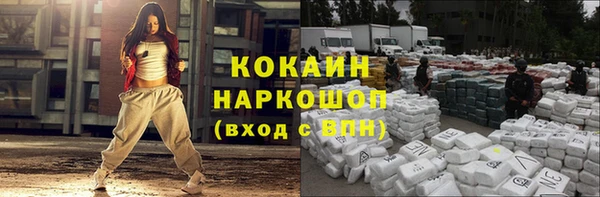 гашик Алексеевка