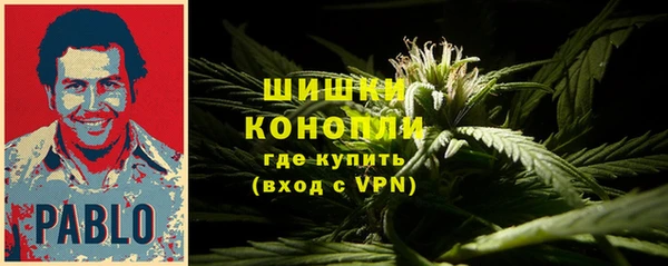прущие крисы Абаза