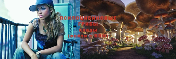 прущие крисы Абаза