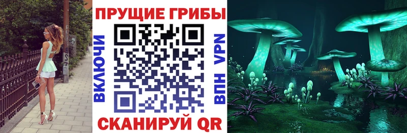 Псилоцибиновые грибы GOLDEN TEACHER Нижнекамск