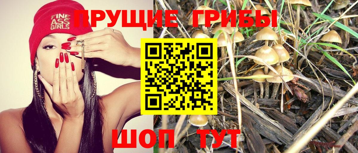 Псилоцибиновые грибы прущие грибы Нижнекамск