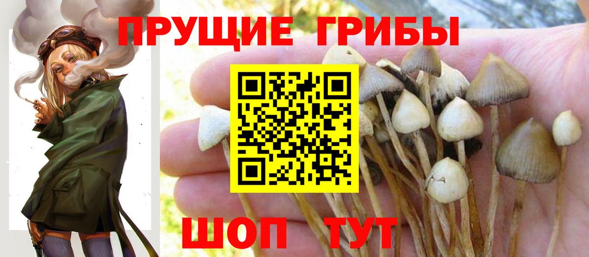 Псилоцибиновые грибы мицелий  Вход с VPN  Нижнекамск 